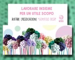 lavorare insieme per una scopo