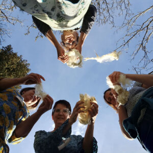 EWD24 Activity people wool